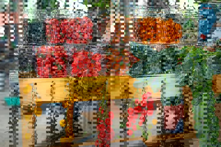 Heirloom Tomatoes Gain Popularity at Local Farmers’ Markets Across Canada