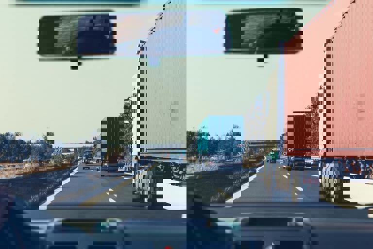 Wildlife Crossings Reduce Animal-Vehicle Collisions on Alberta’s Highways